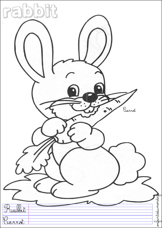 coloriage lapin 1